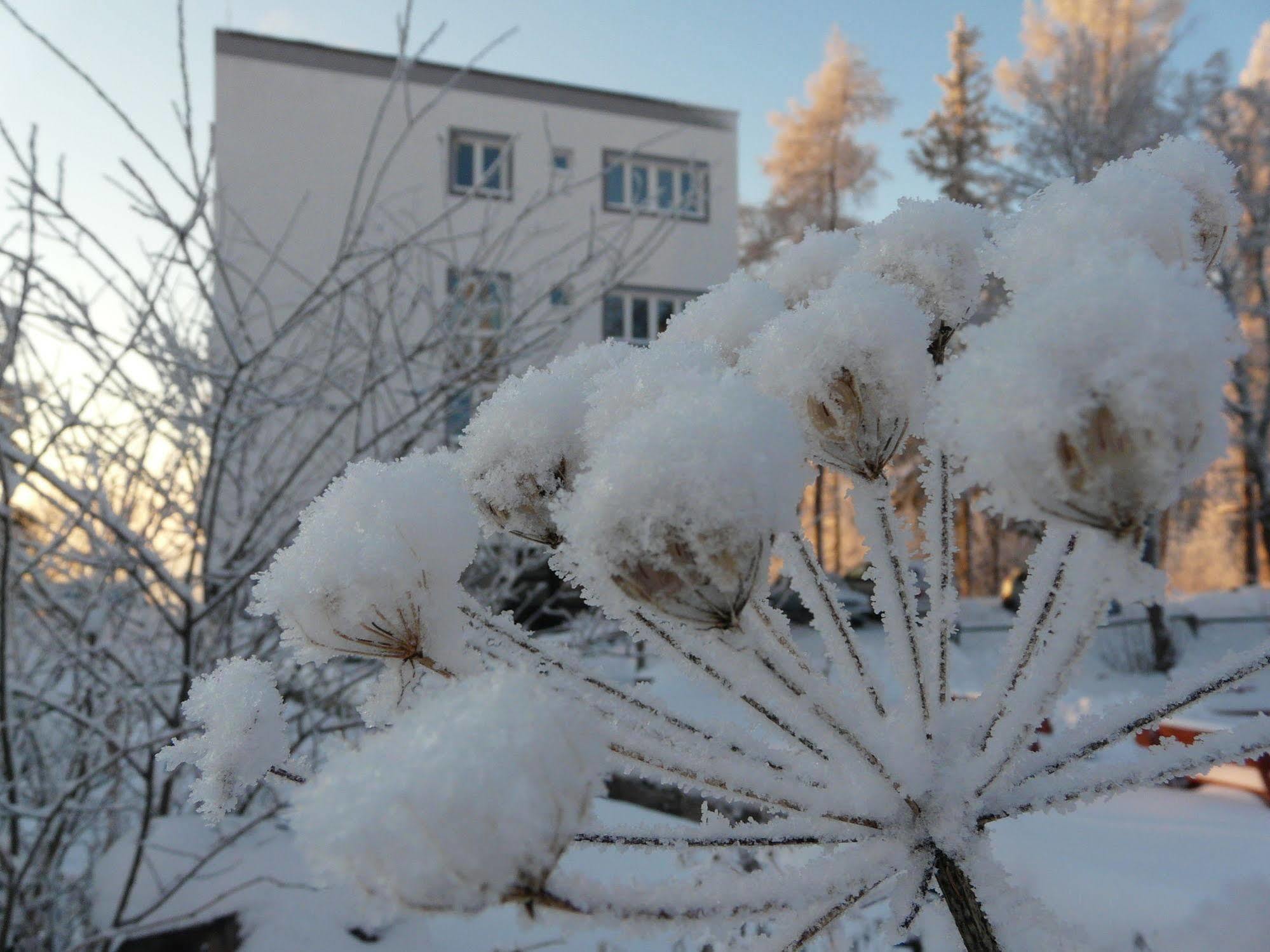 Vila Emma Štrbské Pleso Extérieur photo